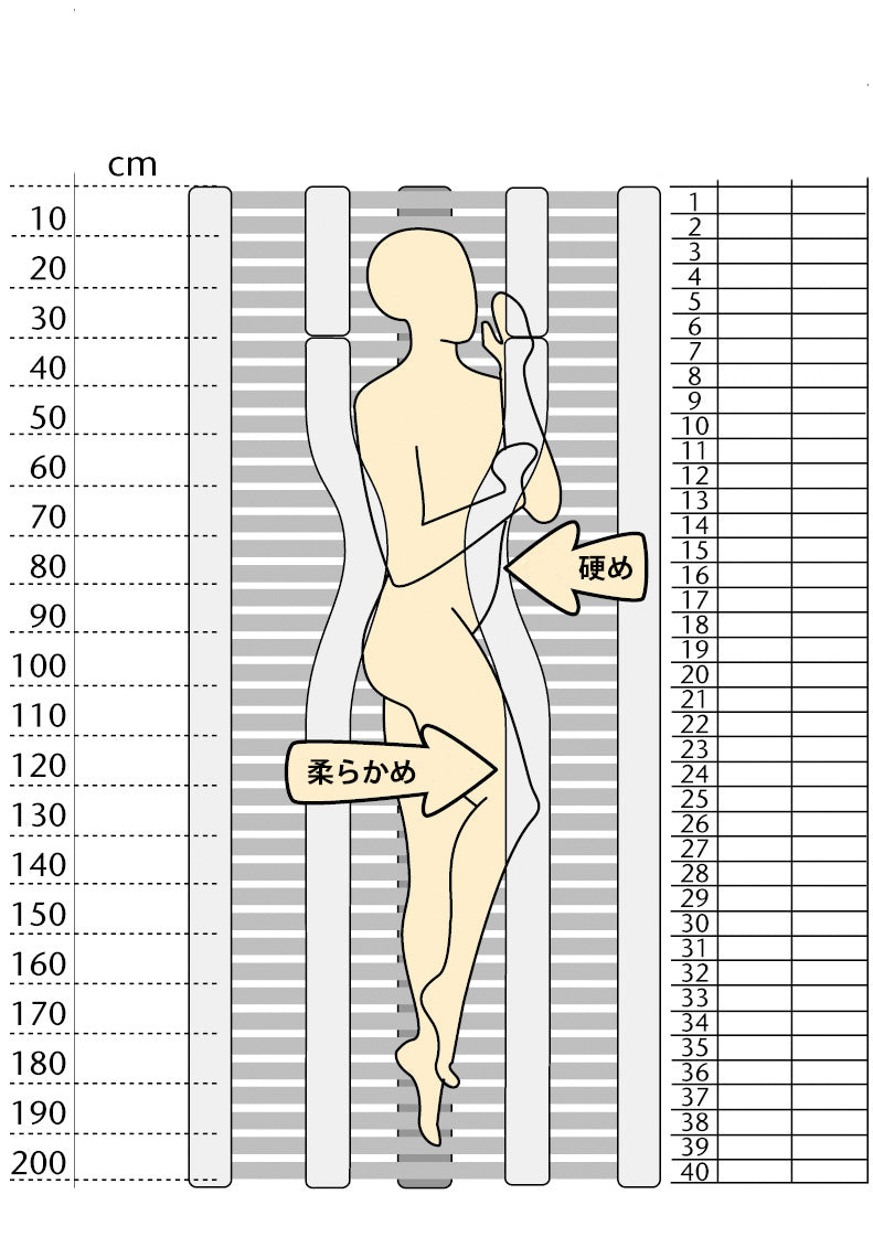 ノヴァフレックス