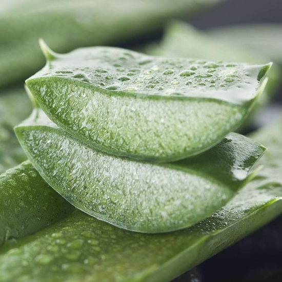 ビオ ボディバター シア&アロエ ピュア