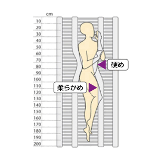 システム エルゴフレックス