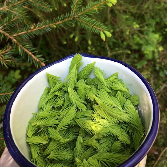 ビオ バスソルト ヴァルトバーデン