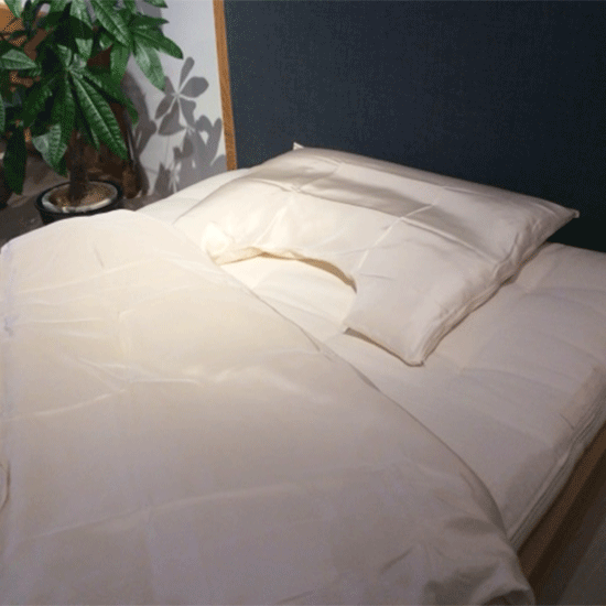 限定セット 真綿布団・カバー・ピローケースセット – TEAM7-bio onlineshop 限定セット 真綿布団・カバー・ピローケースセット – TEAM7-bio onlineshop