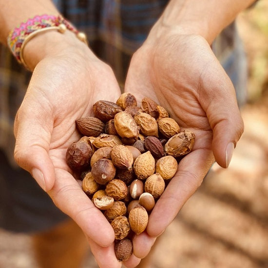 ビオ アルガンオイル