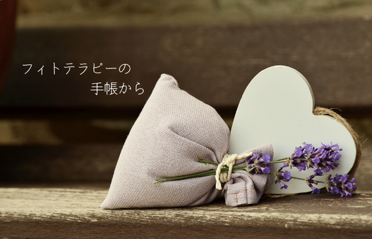 ヨーロッパ生まれの薬草 ヘラオオバコ