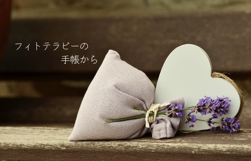 のどに寄り添う自然の恵み