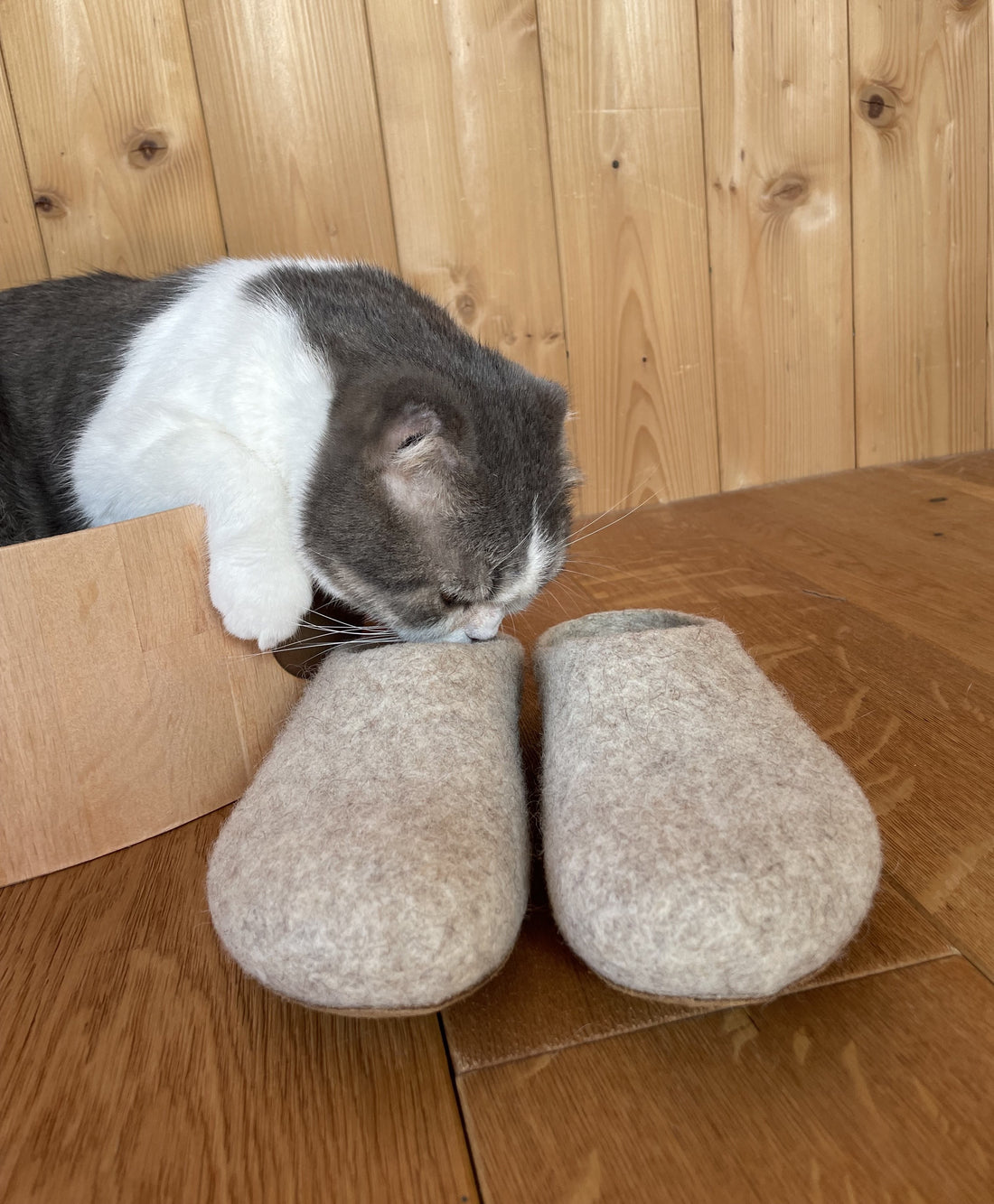 magicfeltで秋をはじめよう！